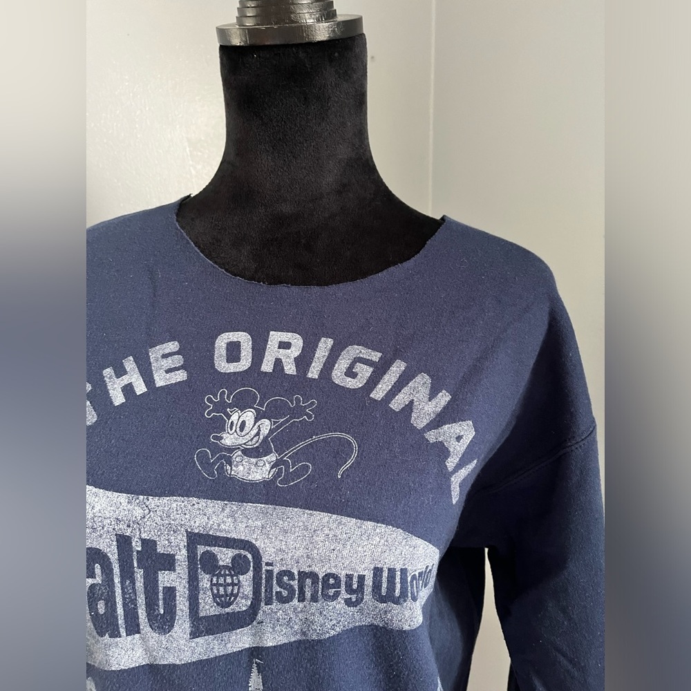 Hanes Walt Disney World Sweatshirt, Distressed, Size Small - Picture 2 of 6